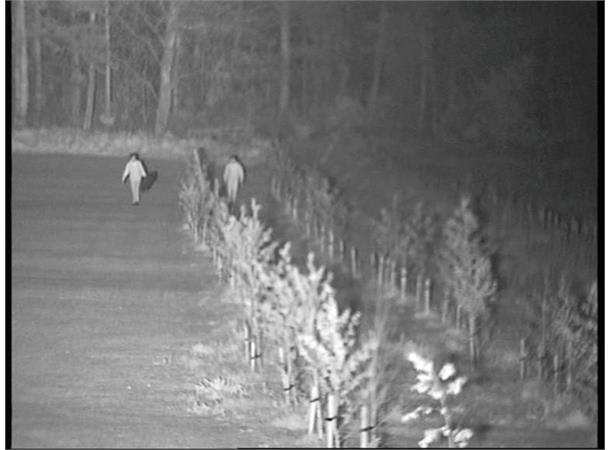 RAYMAX 300 Panorama IR LED-lys 60-180°x25°, inkl. PSU m/fotocelle ...